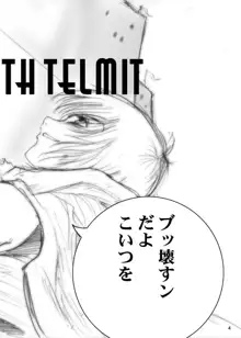 Interview with Telmit, 日本語