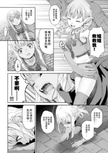 Kakedashi Boukensha no Matsuro 4 [Ningen no Urashakai] Boukensha ni Akogareta Elf Shimai 1 | 初出茅庐冒险者的末路4 【人间的里社会】 憧憬成为冒险者的精灵姐妹-1, 中文