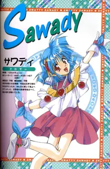 きゃんきゃんバニー プルミエール２攻略&設定資料集, 日本語