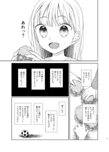 TS少女ハルキくん 総集編, 日本語