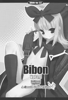 BIBON VOL 3.0, 日本語