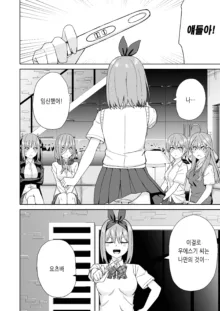 Gotoubun no Hajimete, 한국어