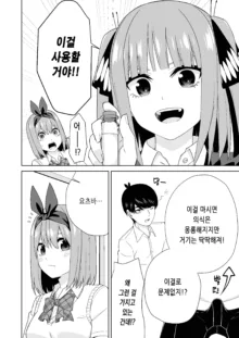 Gotoubun no Hajimete, 한국어