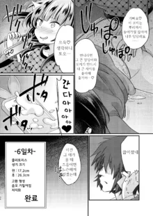 Tsundere Imouto Inbou Kaizou Keikaku | 츤데레 여동생 창녀 개조 계획, 한국어