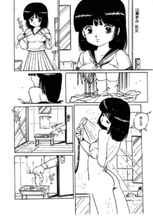 美女姫地獄, 日本語