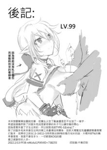 ELSWORD:TYPE-E, 中文