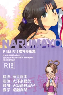 NARUMAYO R-18, 中文