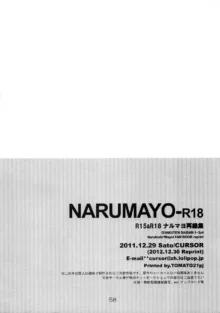 NARUMAYO R-18, 中文