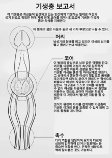 Jisheng chong xilie Xiongmei | 기생충 시리즈 남매편 (decensored), 한국어