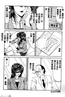 Okasare Shoujo to Furousha - The Raped Girls and The Homeless., 中文