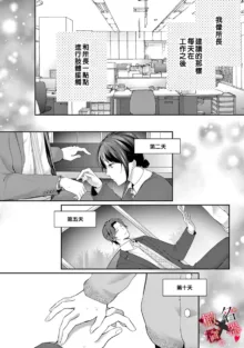 Meikina Kanojo no Aishikata. ~Bengoshi Joushi ga Watashi ni Honki ni Naru Soudesu~01-05话｜名器女友的宠爱方式。 ～律师上司好像对我是认真的01-05话, 中文