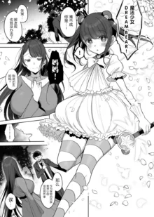 Hahaoya Mahou Shoujo Loli-ka NTR Manga, 中文