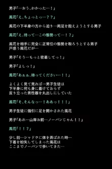 シャドウに弄ばれたヒロインたちは性欲を抑えきれなくなっていく!?, 日本語