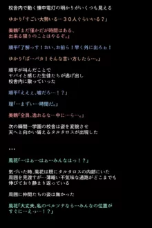 シャドウに弄ばれたヒロインたちは性欲を抑えきれなくなっていく!?, 日本語