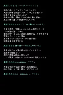 シャドウに弄ばれたヒロインたちは性欲を抑えきれなくなっていく!?, 日本語