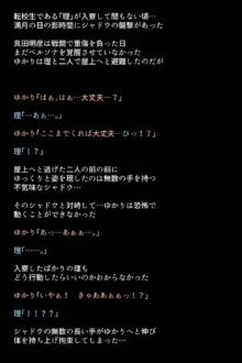 シャドウに弄ばれたヒロインたちは性欲を抑えきれなくなっていく!?, 日本語