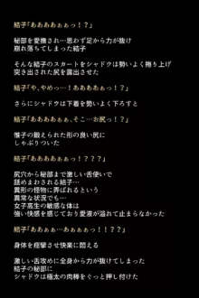 シャドウに弄ばれたヒロインたちは性欲を抑えきれなくなっていく!?, 日本語