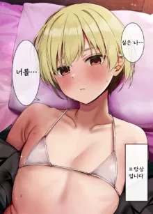 Kimi no Koto ga Daidaidaidaidaisuki na Goudoushi R-18, 한국어