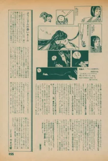 Fusion Product 1981年7月号, 日本語