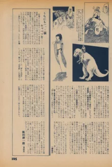 Fusion Product 1981年7月号, 日本語