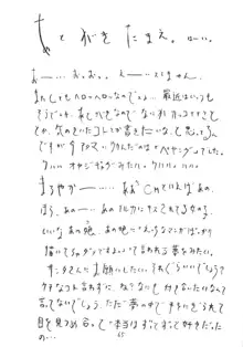 空とぶ妹4, 日本語