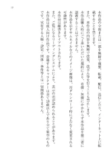 政府公認！超少子化対策！孕ませリゾートホテルでハーレム子作り, 日本語