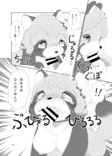 まみあな！, 日本語