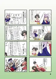 教えてけーね先生×永遠亭の人々, 日本語