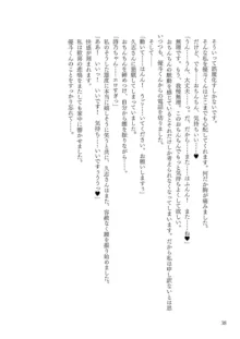 Corrupted Party～堕ちた乙女達～, 日本語