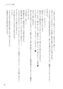 Corrupted Party～堕ちた乙女達～, 日本語