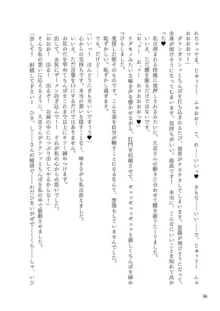 Corrupted Party～堕ちた乙女達～, 日本語