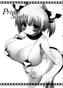 Prime Study, English