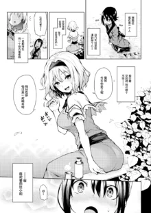 Karakai Jouzu no Alice-san! (decensored), 中文