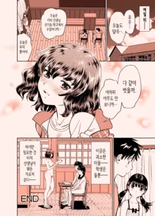 야한 것은 마치 선생님이 전부 가르쳐준다, 한국어