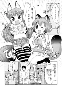 ケモミミ温泉へようこそ, 日本語