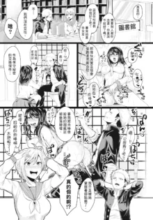 Hamesugi! Gakuen Life (decensored), 中文