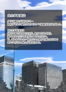 母ちゃんに任せなさい, 日本語