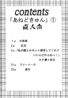 あねどきゅんっ!, 日本語