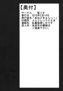 あねどきゅんっ!, 日本語