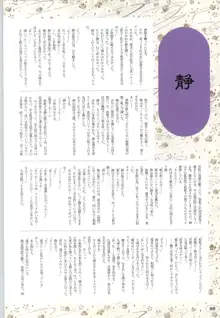 夢幻泡影 (一般画集) [アリスソフト] 夢幻泡影 原画&設定資料集, 日本語