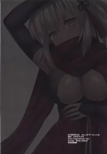 F6 Okita Alter, Seichishiki Zero, 中文