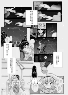 Hoshi no constellation, 中文