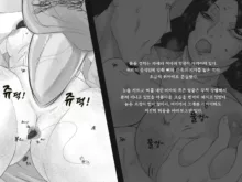 Shiwaku no Touge | 시혹의 고개, 한국어