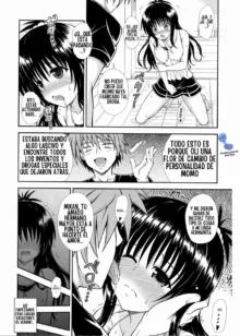 Onii-chan ga Kirechaimashita... (To LOVE-ru) | Onii-chan Olió una Flor de Cambio de Personalidad, Español