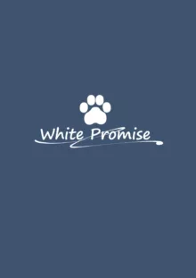 White Promise, English