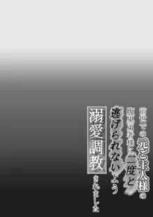 前世での元ご主人様の腹黒勇者様に二度と逃げられないよう溺愛調教されました, 日本語