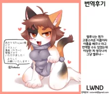 しんぱいしないでっ, 한국어