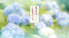 夏の希望と光の海 if - Reunion with Eternal Memories -, 日本語