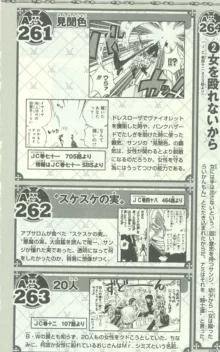 One Piece 500 Quiz Book, 日本語