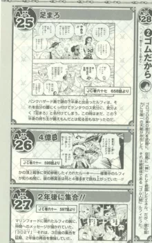 One Piece 500 Quiz Book, 日本語